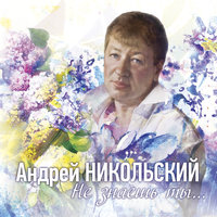 Андрей Никольский - Не знаешь ты…